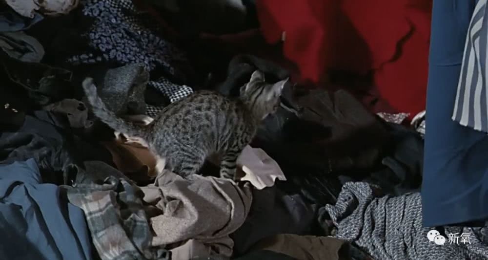 波士顿美术馆收藏弗里达卖出的第一件作品作者:未知2016-02-0308:36:36来源:中国搜索美国实业家杰克逊·科尔-星空官网登录(图2) xingkong体育官网登录