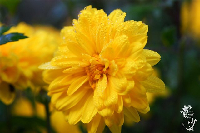 “xingkong.com”法媒:巴萨求购内马尔就是做做样子 只为哄梅西开心