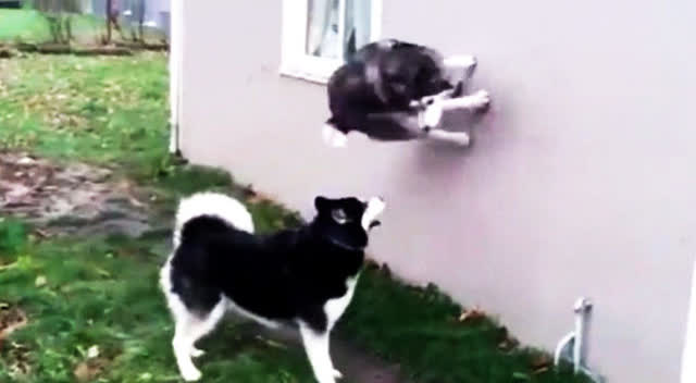 皇马巴萨争冠?今年的西甲冠军属于苏亚雷斯 马竞的新比利亚-xingkong.com(图2)
皇马巴萨争冠?今年的西甲冠军属于苏亚雷斯 马竞的新比利亚-xingkong.com(图2)