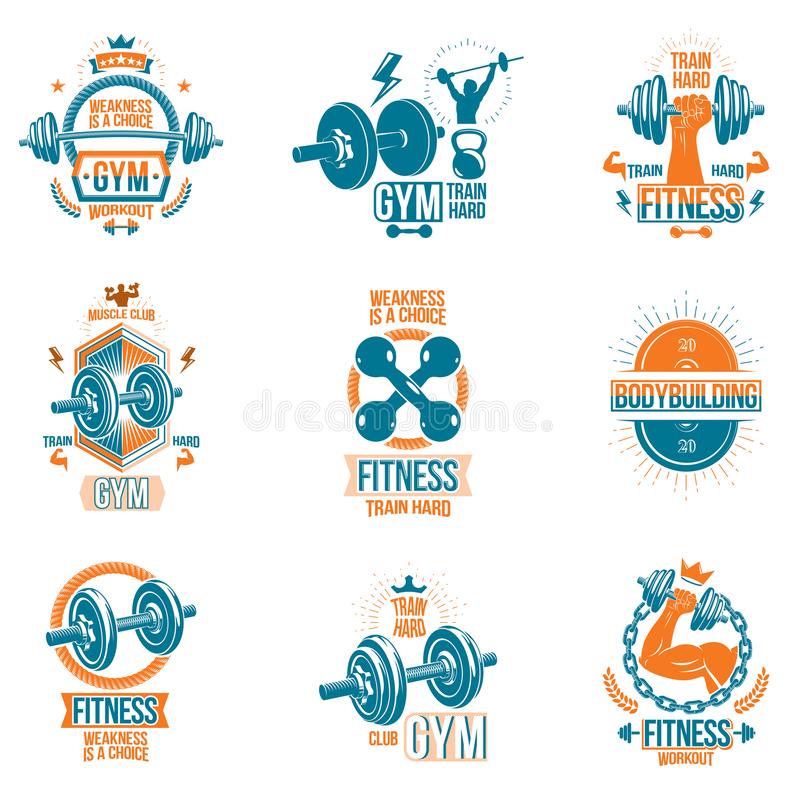 xingkong体育官网登录