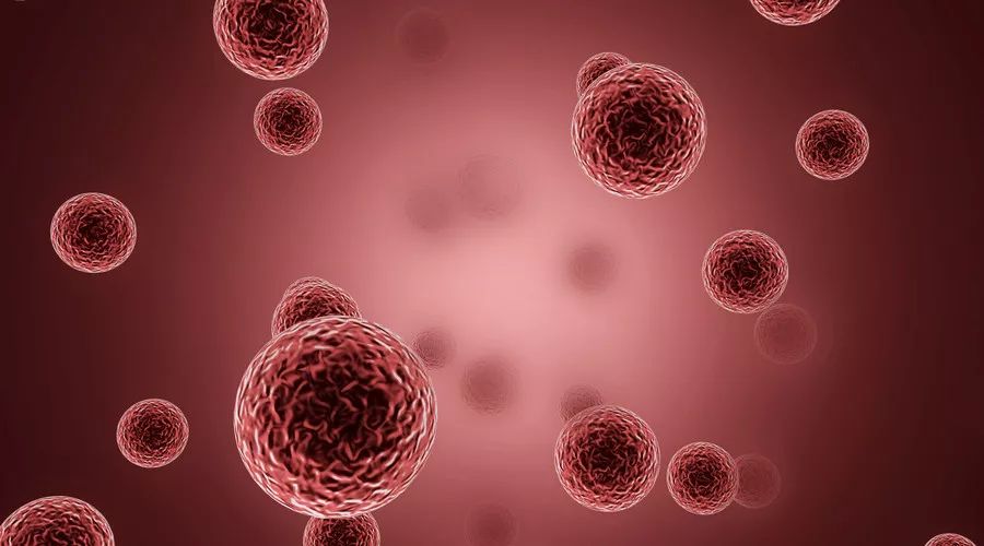 桃之夭夭,灼灼其华|令人词穷的油画艺术赏析|星空官网登录(图2) 星空体育官网