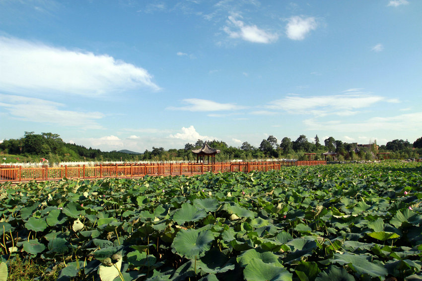 ‘xingkong体育官网登录’口红自由，插花自由，发朋侪圈自由，你实现了吗？