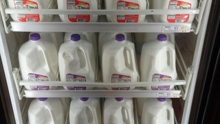 法国惊现估价超1亿达芬奇素描曾属《大西洋古抄本》_星空体育官网