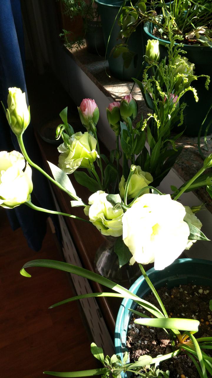 法国20岁国宝骚爆脚后跟助攻!皇马真要掏2.8亿欧吗‘xingkong体育官网登录’(图2) 星空官网登录