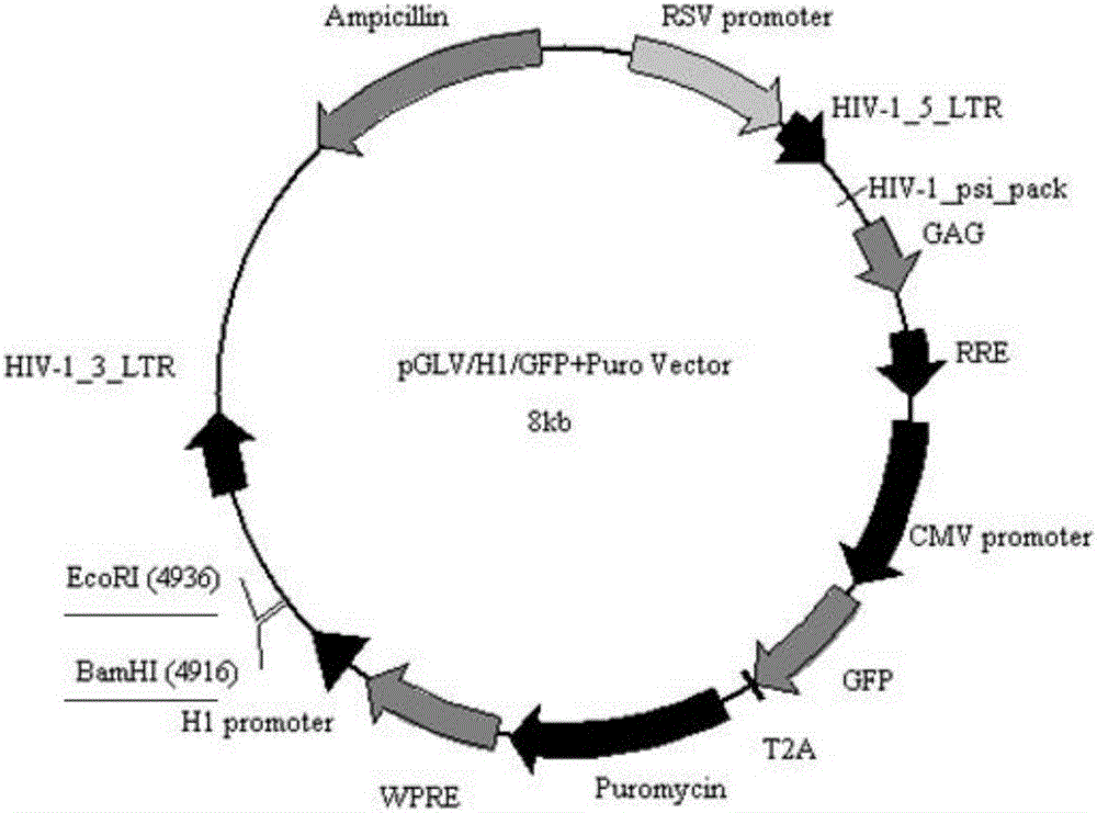 xingkong.com_《个显·各显》画展在798艺术区熙艺术空间圆满开幕
