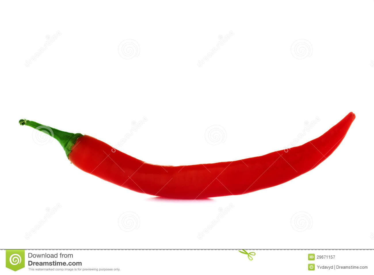 xingkong.com：2020黄浦区小升初政策-上海小升初