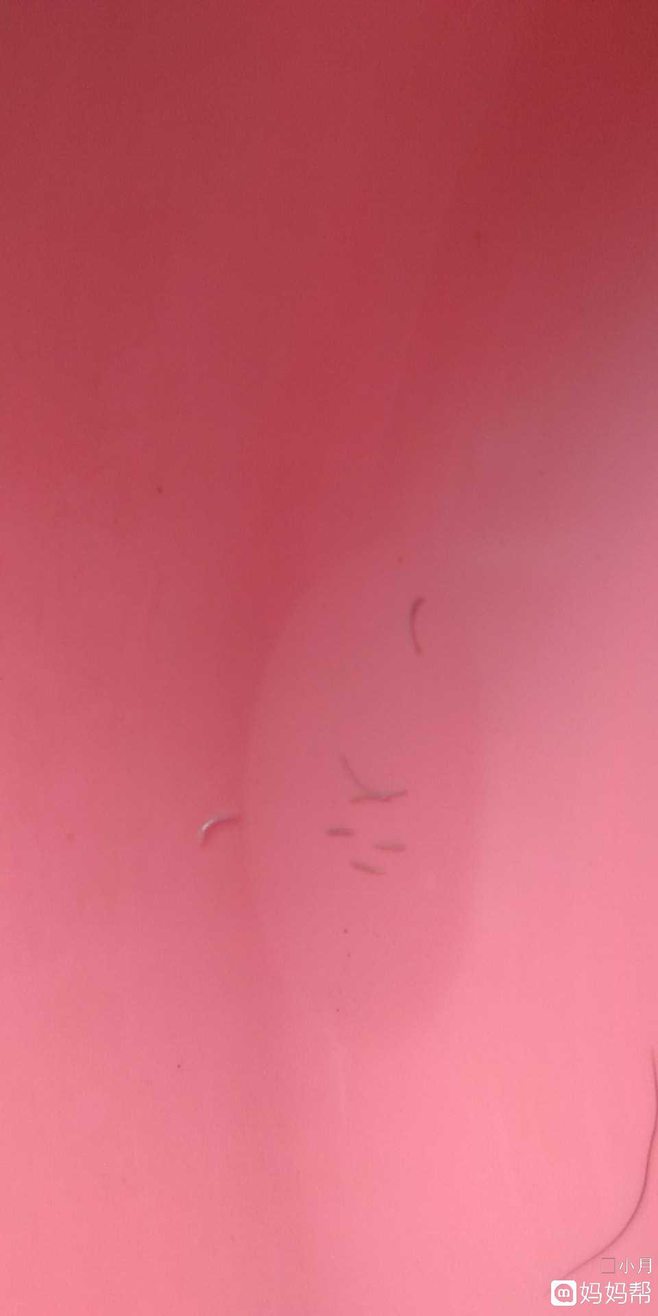 著名画家张现军——建军九十周年献礼报道-xingkong.com