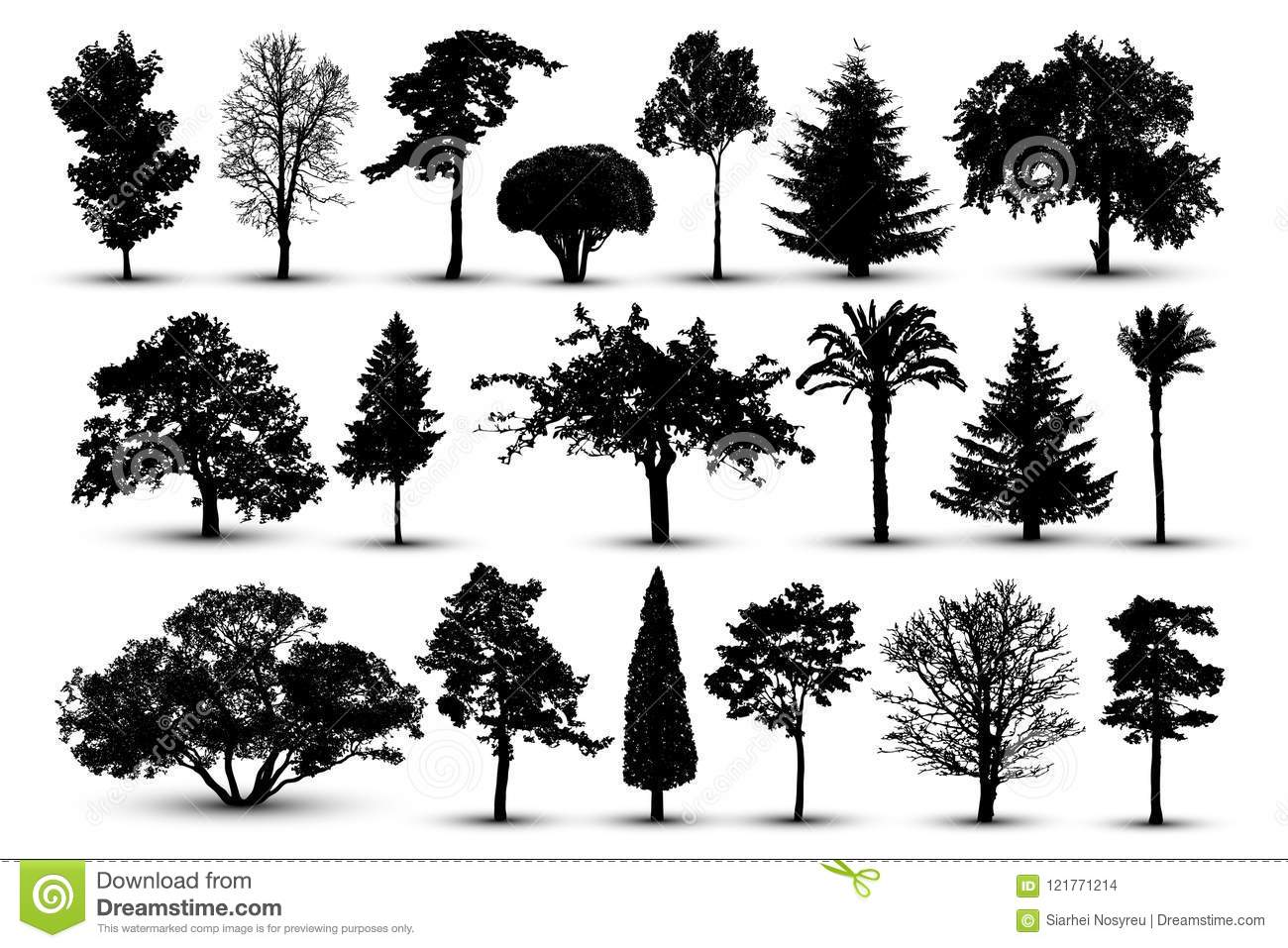 xingkong体育官网登录