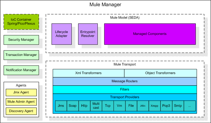 
太漂亮了！千年难见的稀世奇花着花了 真的太美了-星空体育官网