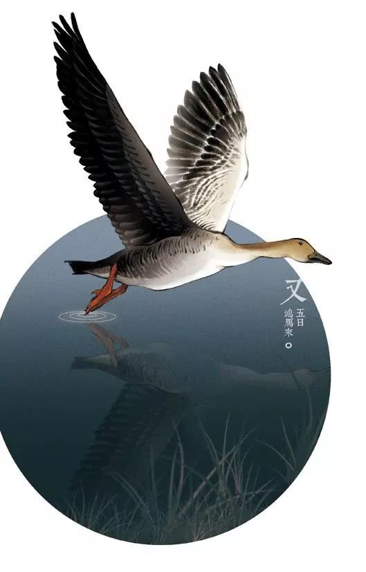 星空体育官网-2015成都武侯区小升初划片-2015成都小升初(图2)