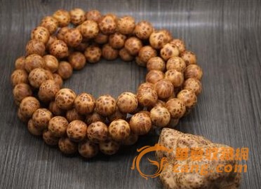 2016金牛实验中学四年制初中招生简章-成都小升初【xingkong体育官网登录】