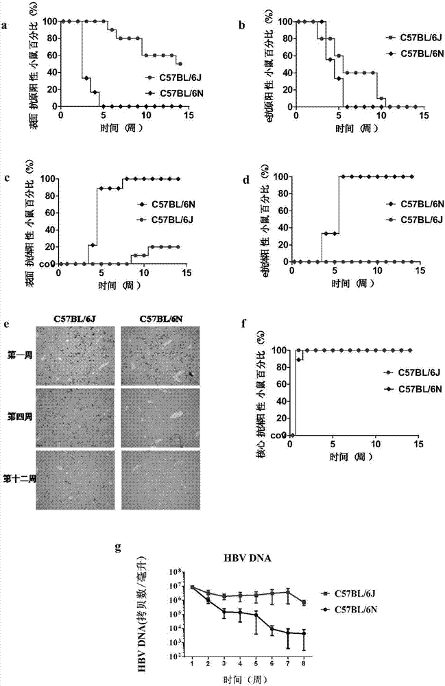 淅川一小：召开家庭教育联谊会，呵护幼苗茁壮成长！-星空官网登录