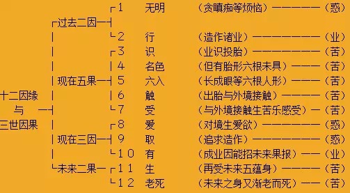 【星空官网登录】内乡六小：实践研学润童心敬老爱老传美德