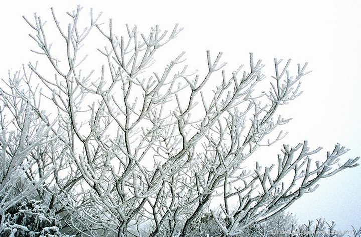 ‘星空官网登录’西班牙人官方：主帅马钦下课 多名技术人员停职