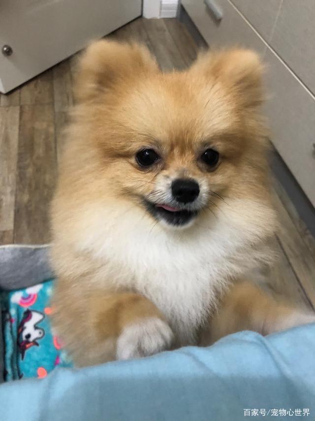 【xingkong体育官网登录】温度与章法