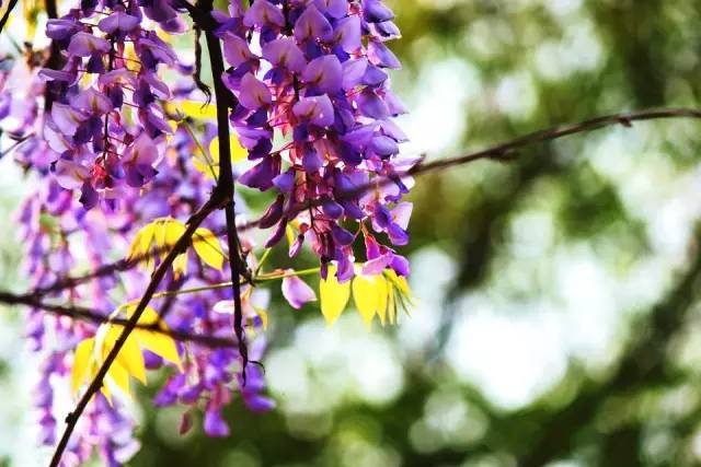 违规却不用受罚？皇马00后新星享特殊优待 成下一个厄德高？-星空体育官网