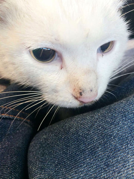 梅西：内马尔去皇马糟糕透了 C罗是我前进动力_xingkong.com(图4)