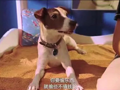 【星空体育官网】灵宝市豫灵镇文底小学：关爱心灵守护生命(图4)