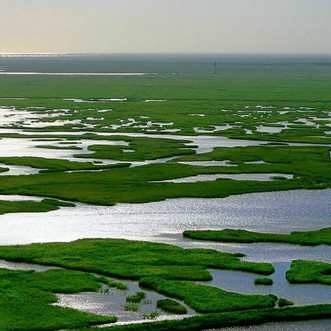 1900万！故宫年客流量创新高|星空体育官网(图4)