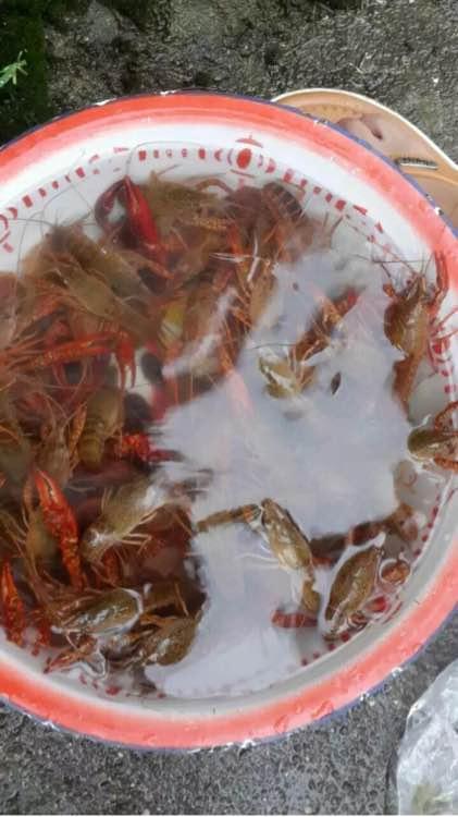 xingkong体育官网登录