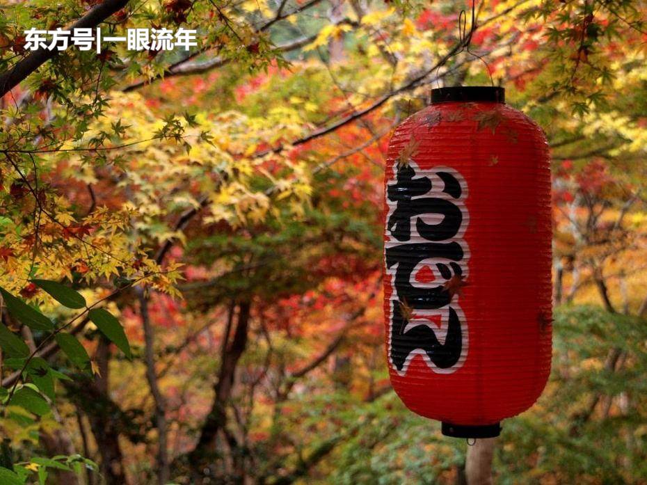 xingkong体育官网登录