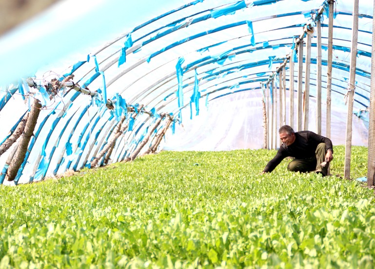 拉莫斯：耶罗能胜任球队主帅 现在应关注世界杯‘xingkong体育官网登录’