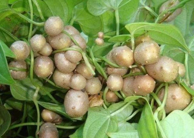 追随艺术，探索全新感官维度｜4个雕塑艺术作品‘xingkong体育官网登录’