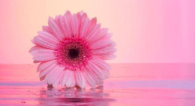 
9月9日生肖运势前三_xingkong.com(图6)