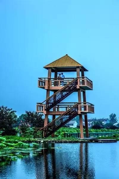 金球主办方为梅西拍封面照 西媒:他或难敌范戴克：星空体育官网