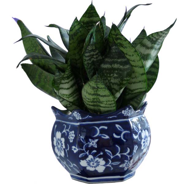 xingkong体育官网登录