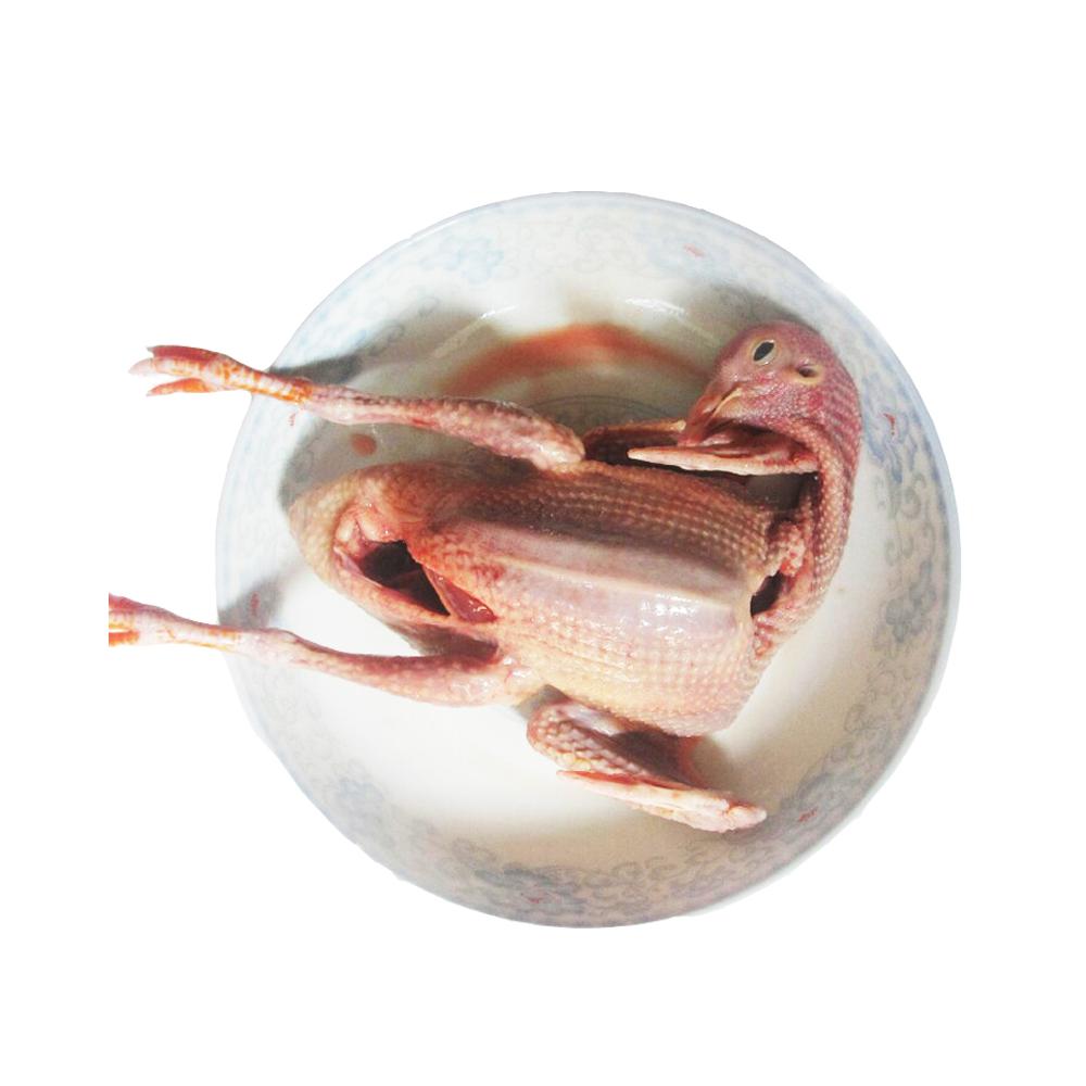 济源市玉川路小学党支部召开专题组织生活会暨2019年度民主双评工作会议‘xingkong体育官网登录’