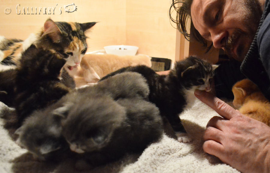 【xingkong.com】今日为您带来西甲、德乙联赛的赛事剖析