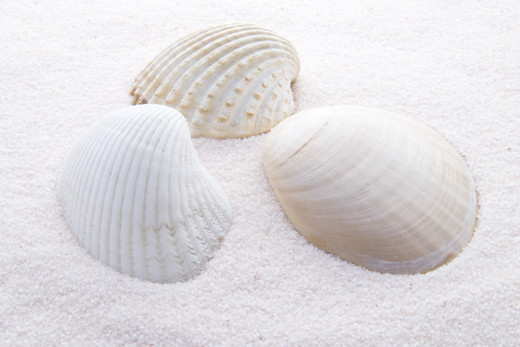 xingkong体育官网登录