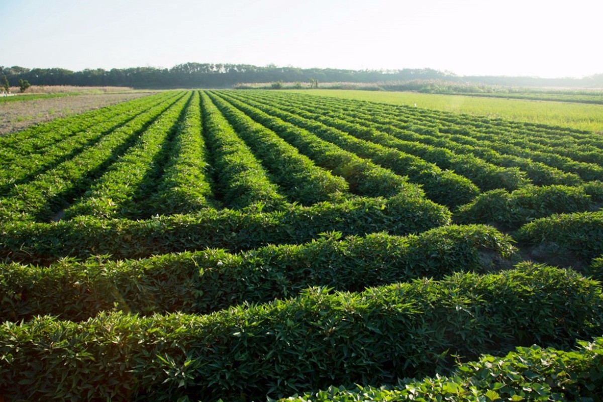 ‘星空体育官网’“大师”帽子莫乱戴