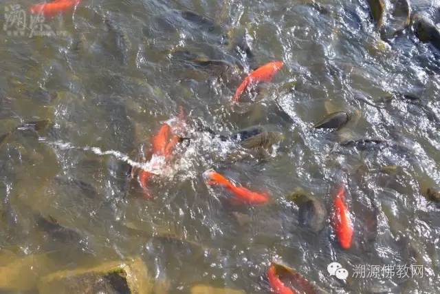 xingkong体育官网登录