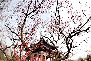 商丘虞城县高中生上街捡垃圾呼唤环保意识_xingkong体育官网登录(图2) 商丘虞城县高中生上街捡垃圾呼唤环保意识_xingkong体育官网登录(图2)