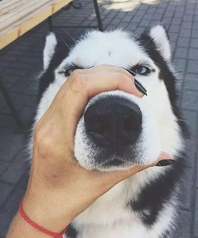 北京保利2014秋拍将于30日举槌‘星空官网登录’(图2) 星空体育官网