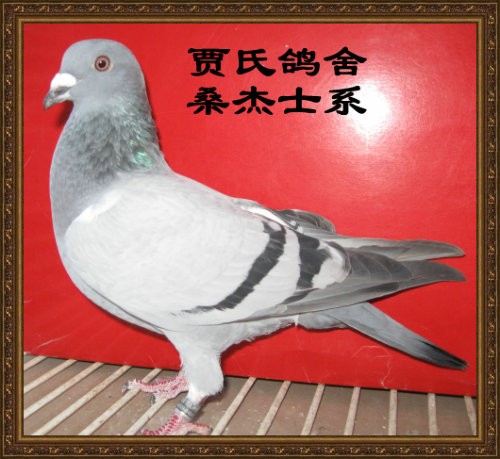 西甲球队靠黑科技统治欧洲赛场 皇马巴萨马竞教练组都用它‘xingkong体育官网登录’(图3) xingkong体育官网登录