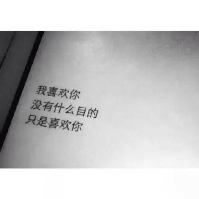 xingkong体育官网登录