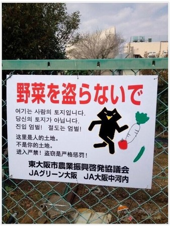 <h1>艺术教育必须回归素养本位_xingkong体育官网登录(图2) xingkong体育官网登录